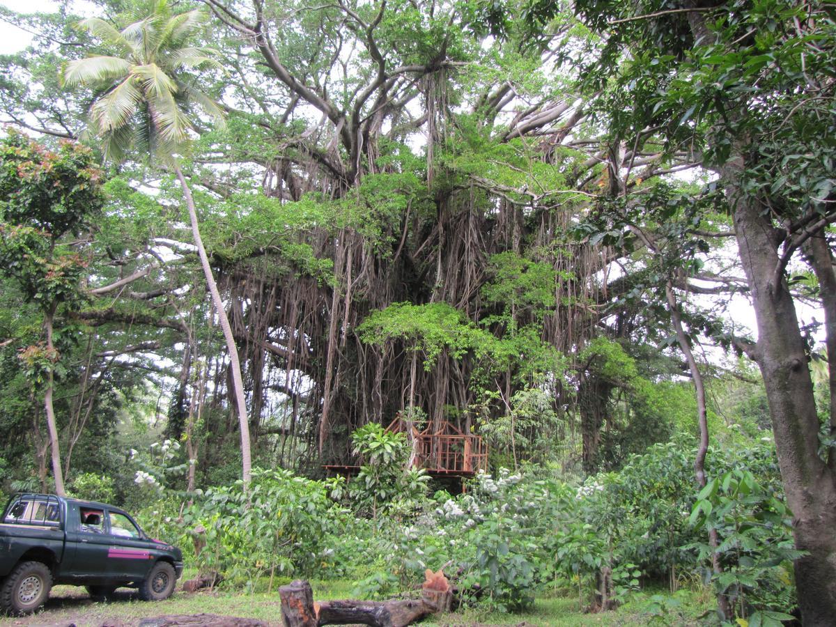 Yasur View Bungalows Loanengo Esterno foto